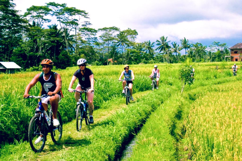 Cycling di Sawah